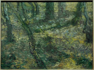 Unterholz mit Efeu von Vincent van Gogh